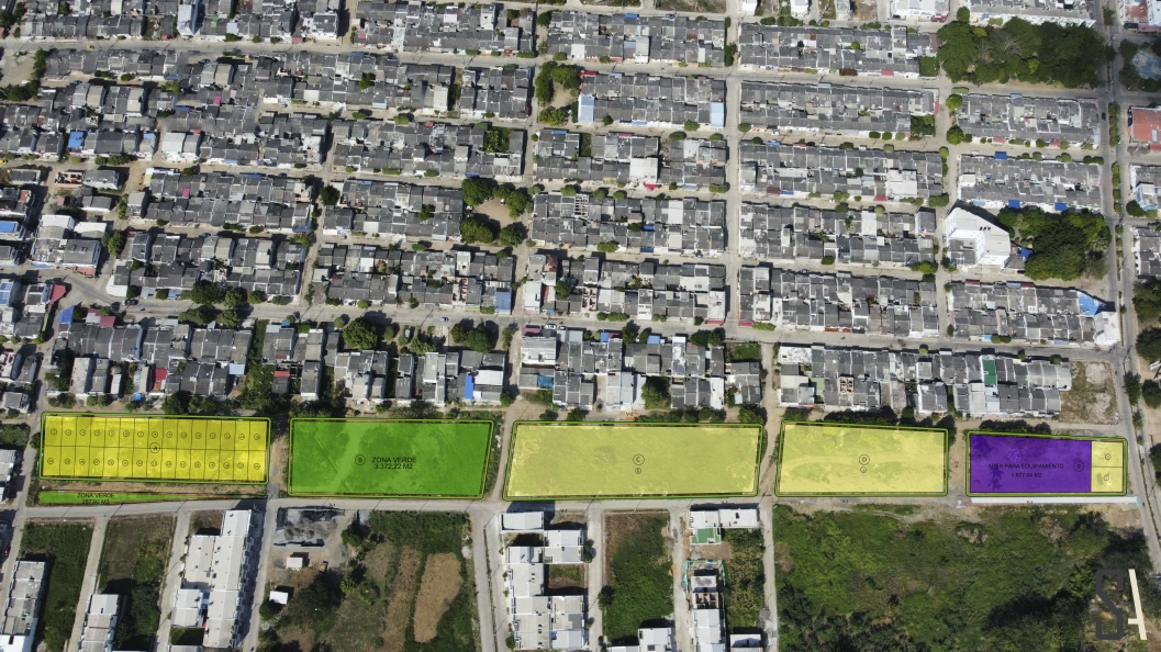 Planta ambientada Guadalupe